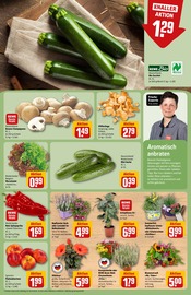 Blumentopf im REWE Prospekt in Wetzlar Aktueller REWE Prospekt mit Blumentopf, "Dein Markt", Seite 9