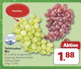 combi Damme - Tafeltrauben Mix Angebot im Prospekt Tafeltrauben Mix bei combi im Damme Prospekt für 1,88 €