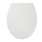 Abattant WC Diani avec frein de chute blanc GoodHome - GoodHome en promo chez Castorama Trappes à 26,90 €