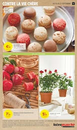 Offre Rosier dans le catalogue Intermarché du moment à la page 17