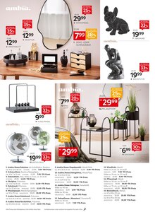 Blumentopf im XXXLutz Möbelhäuser Prospekt "Winterzeit" mit 16 Seiten (Göttingen)