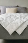 Aktuelle Kopfkissen Angebote bei JYSK in Magdeburg Aktuelles Canadian Dream Gänsedaunen-Bettdecke Angebot bei JYSK in Magdeburg ab 75,00 €