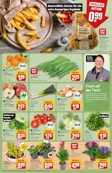 Stiefmütterchen im REWE Prospekt "Dein Markt" mit 28 Seiten (Frankfurt (Main))