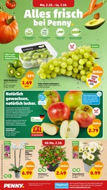 Obst im Penny-Markt Prospekt in Wiesbaden Aktueller Penny-Markt Prospekt mit Obst, "Wer günstig will, muss Penny.", Seite 2