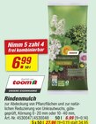Rindenmulch Angebote von toom bei toom Baumarkt Heidelberg für 6,99 €