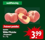 Wilde Pfirsiche im Angebot bei famila Nordost in Kiel Wilde Pfirsiche Angebote bei famila Nordost Kiel für 3,99 €