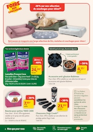 Offre Coussin Chien dans le catalogue Maxi Zoo du moment à la page 8