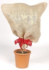 Schutzsack im Thomas Philipps Prospekt Schutzsack von Grüner Jan im aktuellen Thomas Philipps Prospekt für 1,99 €