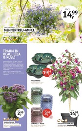Aktueller ROSENGUT Langerwisch Prospekt mit Tierbedarf, "BUNTE VIELFALT!", Seite 11
