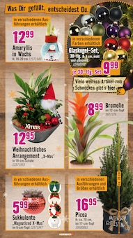Weihnachtsbaum im aktuellen Hornbach Prospekt (Kempten (Allgäu)) Weihnachtsbaum im Hornbach Prospekt "Wünsche sind gut. PROJEKTE sind besser." mit 33 Seiten (Kempten (Allgäu))