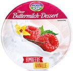 NETTO mit dem Scottie Neubrandenburg - Unser Buttermilch-Dessert Angebot im Prospekt Unser Buttermilch-Dessert bei NETTO mit dem Scottie im Neubrandenburg Prospekt für 0,39 €