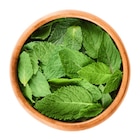 Menthe en promo chez Carrefour Menthe dans le catalogue Carrefour