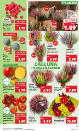 Beeren Angebote im Prospekt "KNÜLLER" von Kaufland Beeren Angebote im Prospekt "KNÜLLER" von Kaufland auf Seite 21