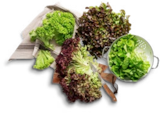 Lollo Mix im Kaufland Prospekt Lollo Mix von im aktuellen Kaufland Prospekt für 0,79 €