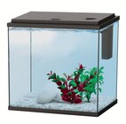 AQUARIUM KIT BRUCE NOIR - 25L - AQUADISIO dans le catalogue Animalis