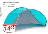 Aktuelles Pop-Up Strandmuschel Angebot bei GLOBUS in Halle (Saale) ab 14,99 €