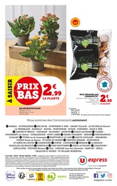 Fleurs Angebote im Prospekt "U express" von U Express auf Seite 9