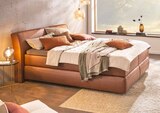 Boxspringbett „BX910“  im aktuellen Segmüller Prospekt für 3.699,00 €