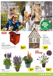 Gartendeko im Hagebaumarkt Prospekt in Ettlingen Aktueller Hagebaumarkt Prospekt mit Gartendeko, "Schenk mit uns von Herzen", Seite 9