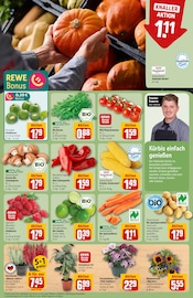 Kürbis im REWE Prospekt in Nürnberg Aktueller REWE Prospekt mit Kürbis, "Dein Markt", Seite 7