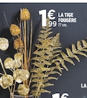 La tige fougère dans le catalogue Centrakor