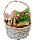 Frühlingskorb bei toom Baumarkt im Radolfzell Prospekt für 12,99 €