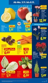 Ähnliche Hortensie Angebote im Prospekt "LIDL LOHNT SICH" von Lidl in Siegen Ähnliche Angebote wie Hortensie im Prospekt "LIDL LOHNT SICH" auf Seite 3 von Lidl in Siegen