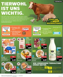 Milch im Kaufland Prospekt "Aktuelle Angebote" mit 28 Seiten (Pforzheim)