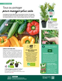 Offre Nain De Jardin dans le catalogue Truffaut du moment à la page 8