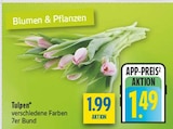 Tulpen im Angebot bei diska in Weiden Tulpen Angebote bei diska Weiden für 1,49 €