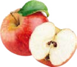 Aktuelles Historische Bio Obstbäume Angebot bei Globus-Baumarkt in Trier ab 39,99 €