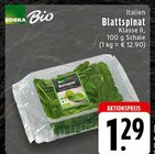 EDEKA Bramsche - Blattspinat Angebot im Prospekt Blattspinat bei EDEKA im Bramsche Prospekt für 1,29 €