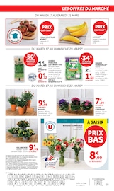 Plante Verte Angebote im Prospekt "Super U" von Super U auf Seite 25