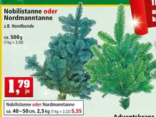 Nobilistanne oder Nordmanntanne bei Thomas Philipps in Saarlouis Nobilistanne oder Nordmanntanne im Angebot bei Thomas Philipps Saarlouis für 1,79 €