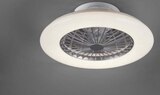 Decken-Ventilator mit LED im Angebot bei BRAUN Möbel-Center in Lörrach Decken-Ventilator mit LED Angebote bei BRAUN Möbel-Center Lörrach für 79,95 €