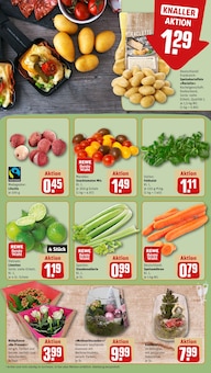 Pflanzen im REWE Prospekt "Dein Markt" mit 22 Seiten (Bremen)