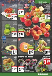 Aktueller EDEKA Prospekt mit Tulpen, "Aktuelle Angebote", Seite 7