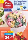 Rosentraum im Angebot bei Netto Marken-Discount in Worms Rosentraum Angebote bei Netto Marken-Discount Worms für 24,99 €
