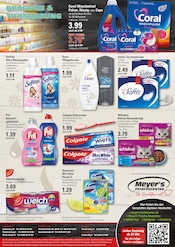 Steine im EDEKA Prospekt in Pinneberg Aktueller EDEKA Prospekt mit Steine, "Top Angebote", Seite 16