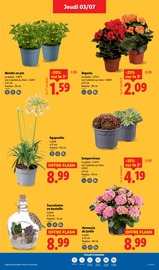 Meuble De Jardin Angebote im Prospekt "Champions de la fraicheur !" von Lidl Meuble De Jardin Angebote im Prospekt "Champions de la fraicheur !" von Lidl auf Seite 27