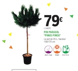 E.Leclerc Le Pian-Médoc - Promo Pin parasol 'pinus pinea' Promo Pin parasol 'pinus pinea' à 79,00 € dans le catalogue E.Leclerc à Le Pian-Médoc