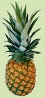 aktiv & irma - Ananas extra sweet Angebot im Prospekt Ananas extra sweet bei aktiv & irma im Prospekt "" für 2,99 €