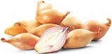 REWE Butzbach - Schalotten Angebot im Prospekt Schalotten bei REWE im Butzbach Prospekt für 0,89 €