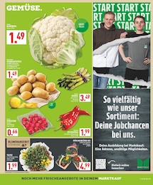 Marktkauf Pflanzen im Prospekt 