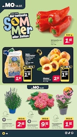 Kartoffeln Angebote im Prospekt "Günstig. Besser. Für Dich." von Netto mit dem Scottie auf Seite 2