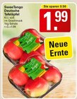 WEZ Rehburg-Loccum Prospekt mit  im Angebot für 1,99 €
