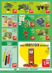 Kartoffeln im Marktkauf Prospekt in Plauen Aktueller Marktkauf Prospekt mit Kartoffeln, "AUSWAHL RIESIG, PREISE NIEDRIG", Seite 9
