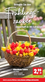 Aktueller Thomas Philipps Prospekt mit Tulpen, "Top Angebote", Seite 6