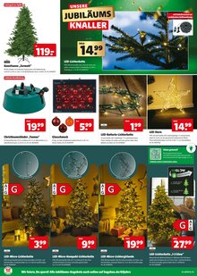 Weihnachtsbaum im Hagebaumarkt Prospekt "UNSERE BLACK WEEK KNALLER" mit 10 Seiten (Bayreuth)