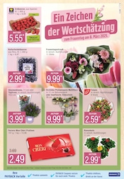 Aktueller Marktkauf Prospekt mit Orchidee, "Top Angebote", Seite 5